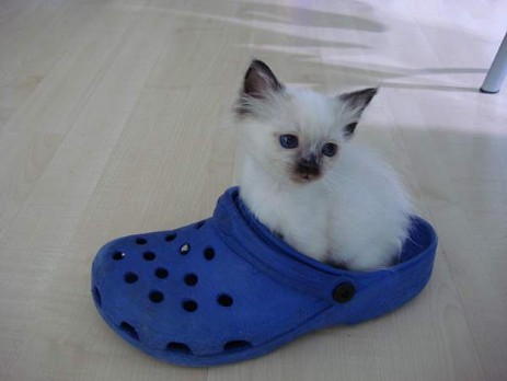 Na, bin ich nicht ein ganz grosser :-))