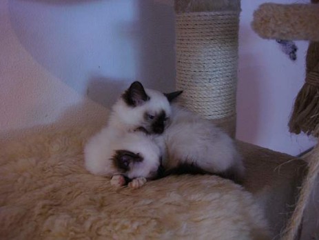 Kuscheln mit Brüderchen ist doch am schönsten!