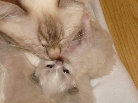 kuscheln mit Mami ist einfach am schönsten!!!