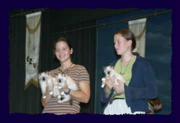 Ausstellung in Emmen vom 27./28.9.2003